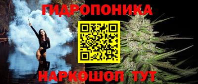 твердый Кингисепп