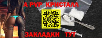 твердый Кингисепп