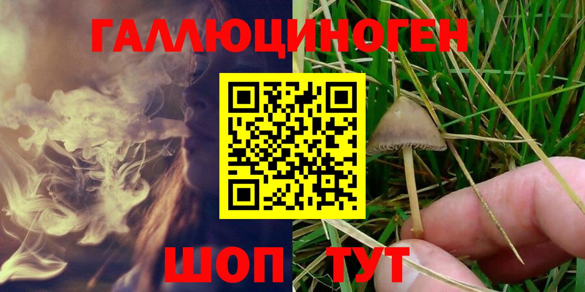 Кузнецк  Псилоцибиновые грибы Magic Shrooms  Галлюциногенные грибы Psilocybe  Вход с VPN 
